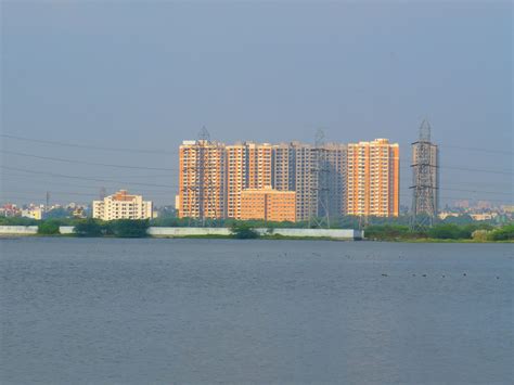 Perumbakkam Wetland (Waterbodies of Chennai - 52)