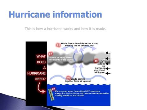 What are causes and effects of a hurricane