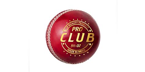 14 Best Cricket Ball Brands in India » 2024 » CashKaro Blog