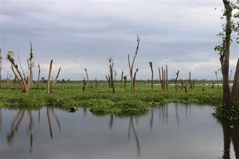 Agusan Marsh Map