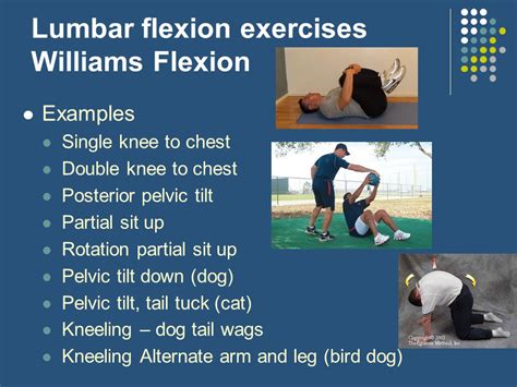 William's Flexion Exercises: