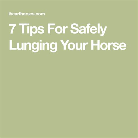 7 tips for safely lunging your horse – Artofit