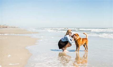 Charleston, SC Pet-Friendly Getaway | Pet Travel Guide