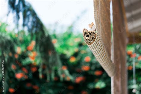 Bamboo blinds in front of patio in garden, detail Stock Photo | Adobe Stock