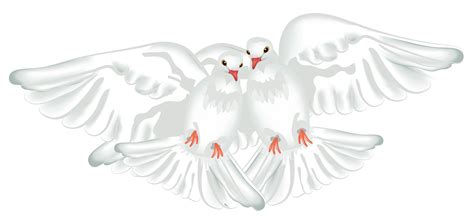 Free White Dove Cliparts, Download Free White Dove Cliparts png images ...