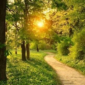 CES- Stress reduction seminar and mindfulness walk on the nature trail ...