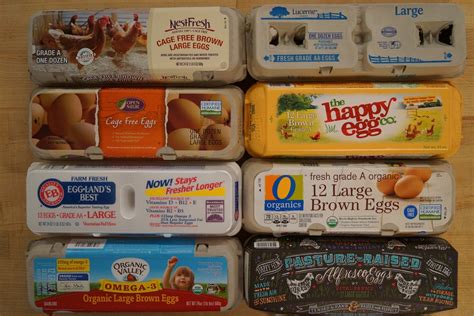 With So Many Claims, What Eggs Should I Buy at the Grocery Store ...