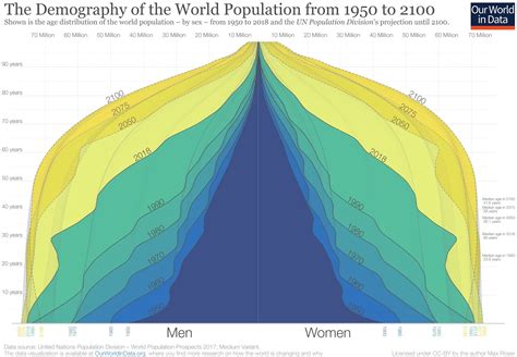 What Is Population Pyramid