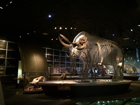 Western Science Center - Hemet, CA - Kid friendly activity reviews - Trekaroo