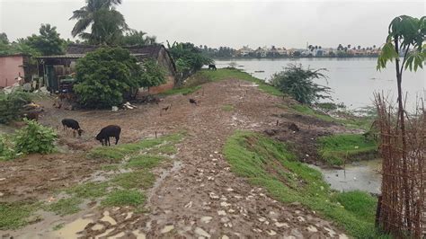 Residents want Sembakkam lake’s boundary to be demarcated to prevent ...