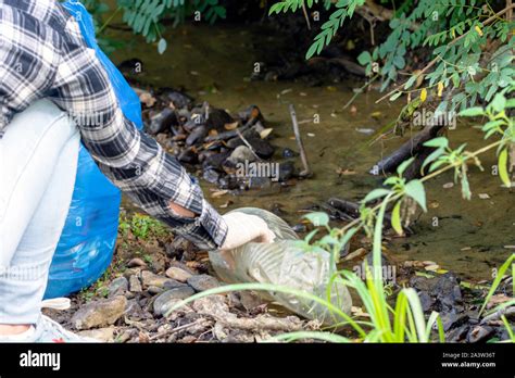 water pollution environmental, save rivers and lakes Stock Photo - Alamy