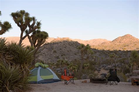 Black Rock Campground - Joshua Tree National Park (U.S. National Park Service)