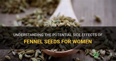 Understanding The Potential Side Effects Of Fennel Seeds For Women | ShunCy