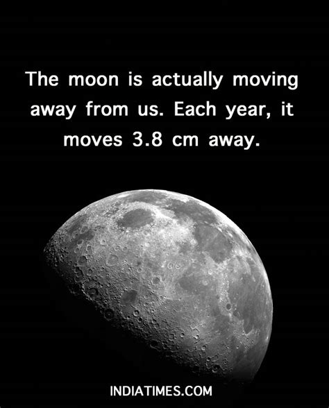 Printable Facts About The Moon