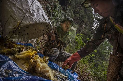 Honey Hunting on the Cliffs of China’s Yunnan Province: Photos - The Atlantic