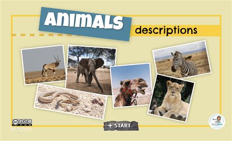 Animals descriptions - Sandbox Educación