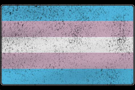 Distressed Transgender Pride Flag Digital Art by Patrick Hiller - Pixels