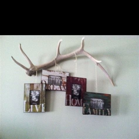 20+ Ways To Display Deer Sheds – The Urban Decor