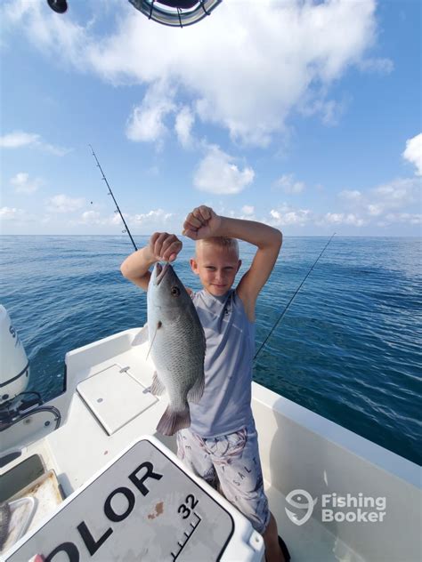 Snapper Action! - Bay Pines Fishing Report - FishingBooker