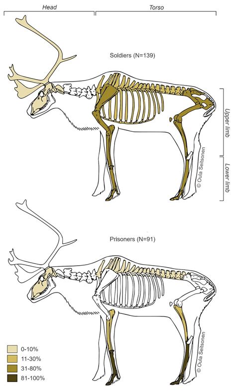 Reindeer body parts in the soldier and prisoner contexts (see Table 2 ...