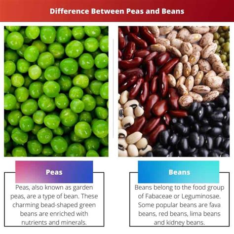 Peas vs Beans: Difference and Comparison