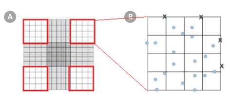 Using a Hemocytometer for Cell Counting | Protocol