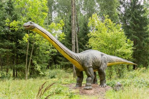 Statue of Realistic Diplodocus Dinosaur Stock Image - Image of animal, large: 100046115