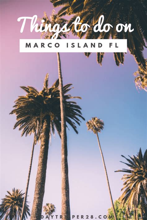 Marco Island is more than just a beach paradise. Check out these fun things to do at this ...