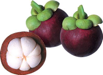 Purple Mangosteen - Fruits And Vegetables