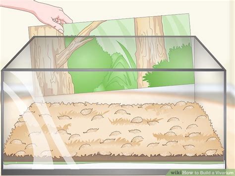 How to Build a Vivarium (with Pictures) - wikiHow