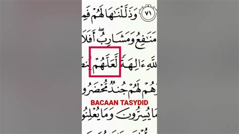 BACAAN TASYDID - YouTube