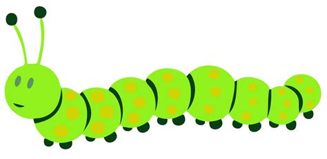 Caterpillar clipart cute, Caterpillar cute Transparent FREE for download on WebStockReview 2024