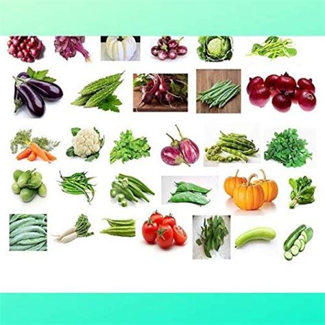 Organic Vegetable seeds for gardening, 20 VARIETIES