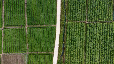 Aerial view of fields and agricultural parcels. Agricultural landscape 18820000 Stock Photo at ...