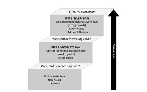 WHO Three-step Analgesic Ladder Adapted from the WHO Pain Relief Ladder ...