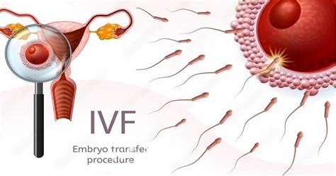 Embryo Transfer technology In IVF Treatment | DrMona Dahiya