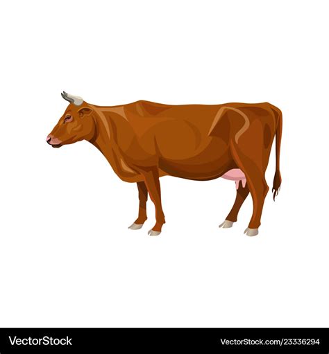 Brown cow Royalty Free Vector Image - VectorStock