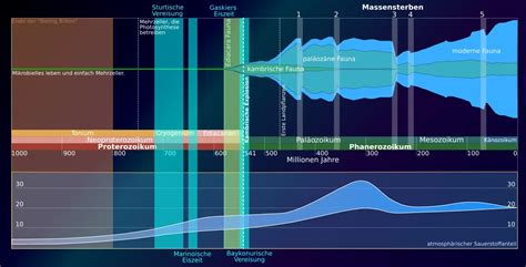 Ediacaran Fauna