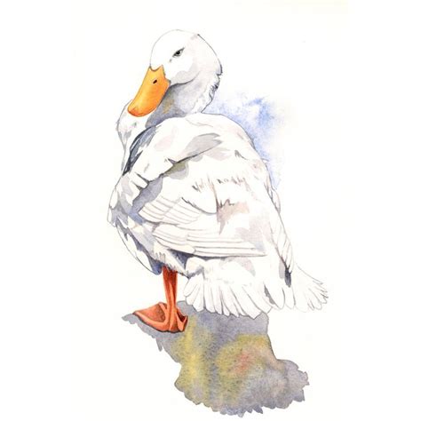 Duck Painting nature wildlife art bird white by LouiseDeMasi | Bird art, Duck art, Watercolor ...