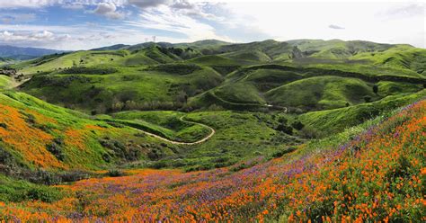 The wonderland of Chino Hills State Park. : r/LosAngeles