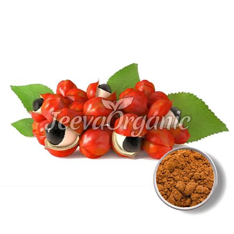 Top Guarana Extract powder Supplier | Bulk Guarana Extract Powder supplier