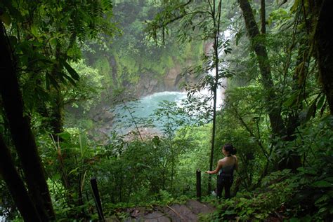 Rio Celeste & Tenorio Volcano Guided Rainforest Hike