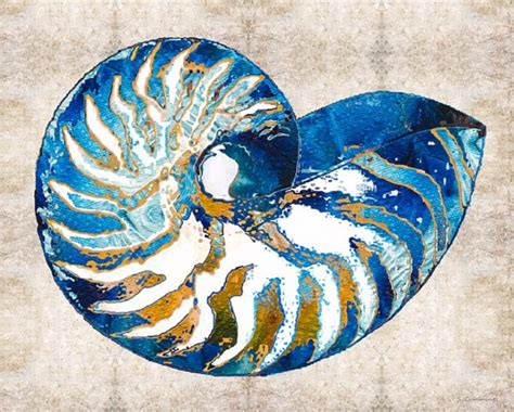 Nautilus Shell Art Print From Painting Colorful Blue Beach Ocean Sea Shells CANVAS Coastal ...