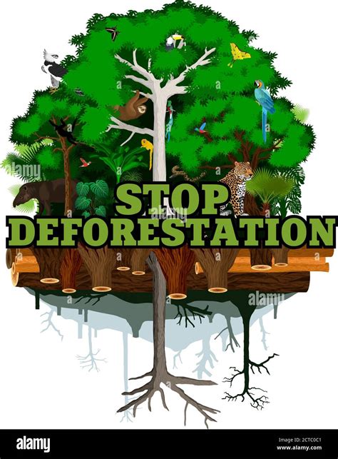 Tropical deforestation Stock Vector Images - Alamy