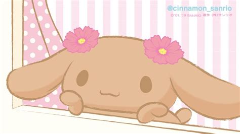 Update 67+ mocha sanrio wallpaper super hot - in.cdgdbentre