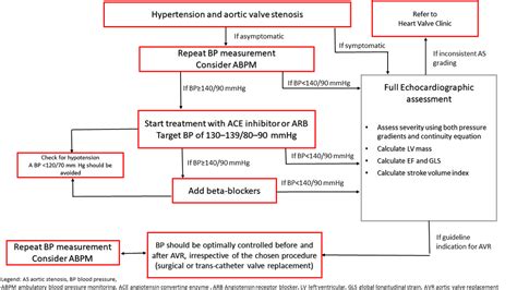 Aortic valve stenosis | The Bergen Hypertension and Cardiac Dynamics Group | UiB