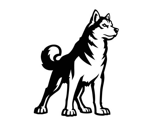 Husky PNG transparent image download, size: 1314x1222px