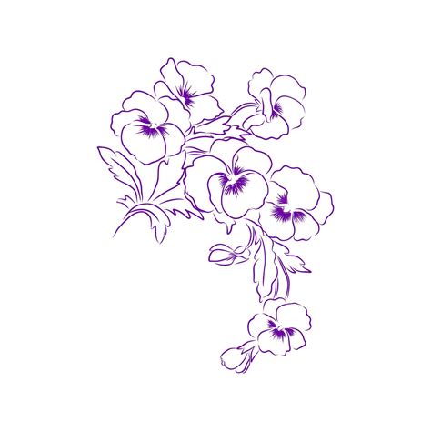 Premium Vector | Violet flower drawing vector hand drawn engraved ...