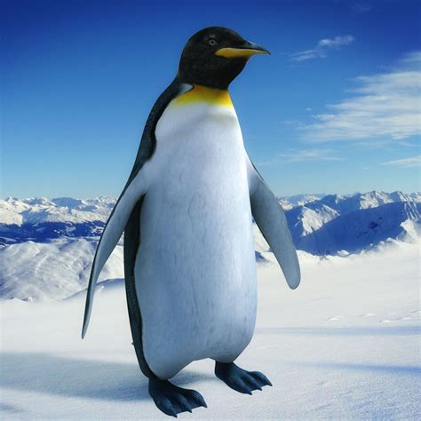 Penguin 3d Model by ergin3d on DeviantArt