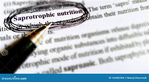 Saprotrophic Nutrition Displayed on White Background with Black Border ...